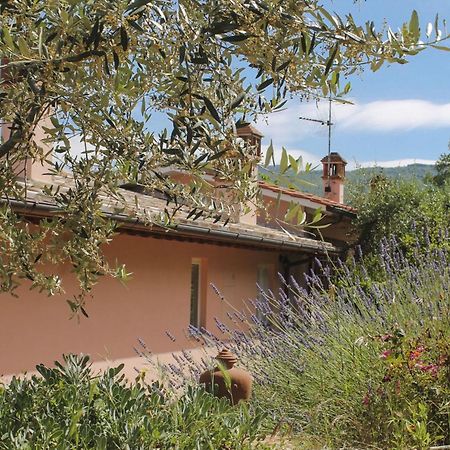 Tuscany Roses Arezzo Exterior foto